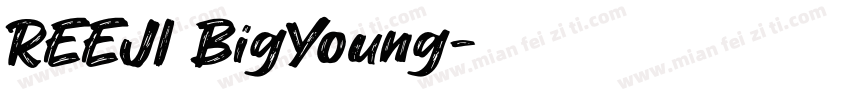 REEJI BigYoung字体转换